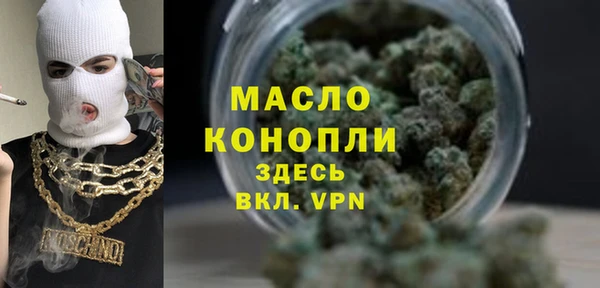 скорость Вяземский