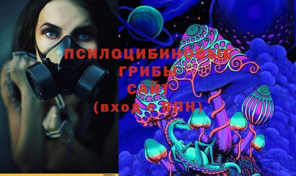 скорость Вяземский
