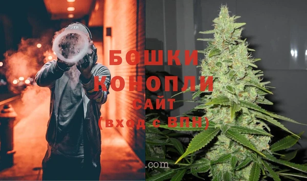 скорость Вяземский