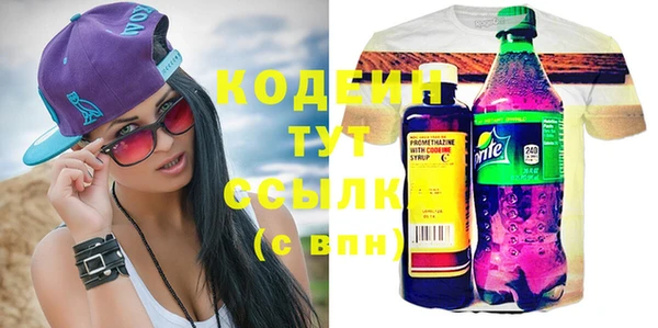 скорость Вяземский
