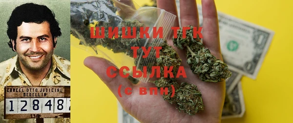 скорость Вяземский