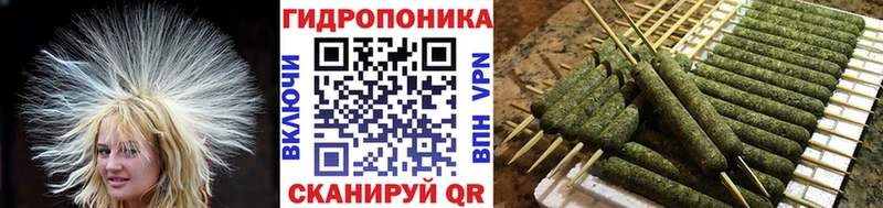 Каннабис Ganja  Разумное 